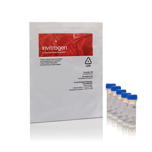 4889. CONJUGADO P/FAGOCITOSIS BIOPARTICLES DE CIMOSANO PHRODO RED 5 X 1MG - INVITROGEN