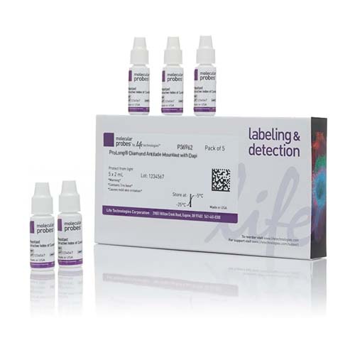 21266. MEDIO DE MONTAJE ANTIDECOLORACION PROLONG DIAMOND C/DAPI 5 X 2ML - INVITROGEN