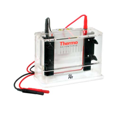21030. SISTEMA DE ELECTROFORESIS VERTICAL 10X10CM, VOLUMEN BUFFER 150ML, MOD. P81 - OWL THERMO FISHER
