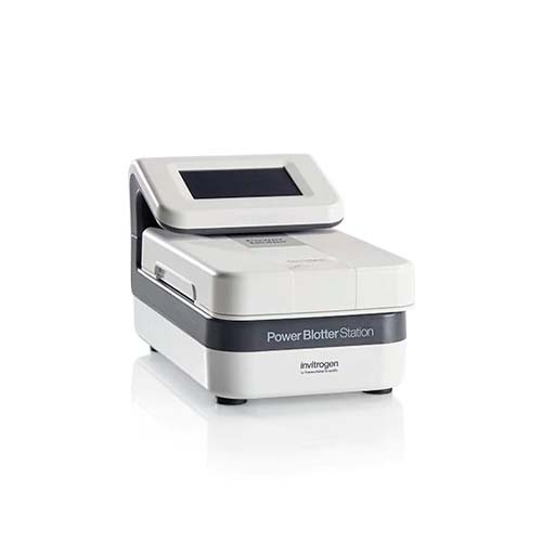 55400. SISTEMA POWER BLOTTER P/TRANSFERENCIA SEMISECA Y RAPIDAS DE PROTEINAS DE GELES - INVITROGEN