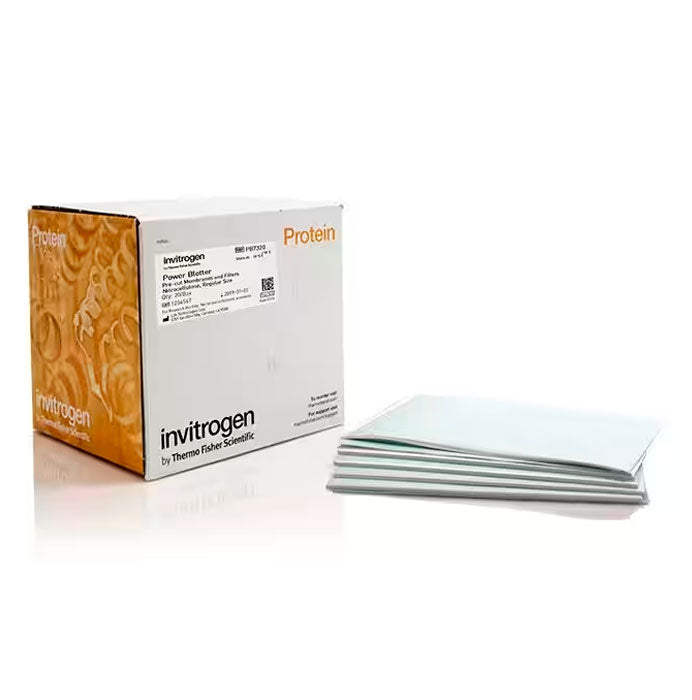 25941. MEMBRANAS Y FILTROS PRECORTADOS POWER BLOTTER NITROCELULOSA TAMAÑO REGULAR C/20 INVITROGEN