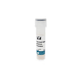 11248.GOAT ANTI-RABBIT IGG ANTIBODY (H+L) PEROXIDASE 1MG - VECTOR