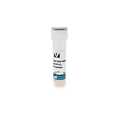 11248.GOAT ANTI-RABBIT IGG ANTIBODY (H+L) PEROXIDASE 1MG - VECTOR