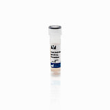 11249.HORSERADISH PEROXIDASE ANTI-HUMAN IGG (MADE IN GOAT) 1MG - VECTOR