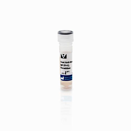 11249.HORSERADISH PEROXIDASE ANTI-HUMAN IGG (MADE IN GOAT) 1MG - VECTOR