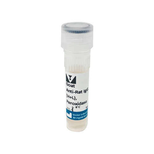 5293. GOAT ANTI-RAT IGG ANTIBODY (H+L) PEROXIDASE 1MG - VECTOR