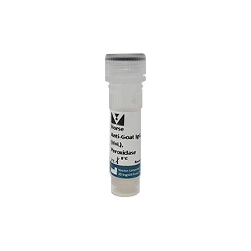 6466. HORSE ANTI-GOAT IGG ANTIBODY (H+L) PEROXIDASE 1MG  - VECTOR