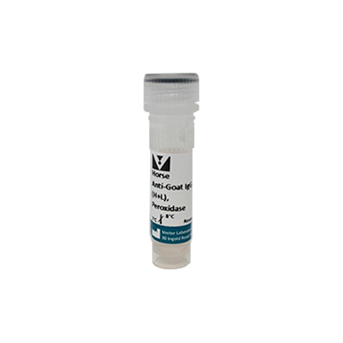 6466. HORSE ANTI-GOAT IGG ANTIBODY (H+L) PEROXIDASE 1MG  - VECTOR