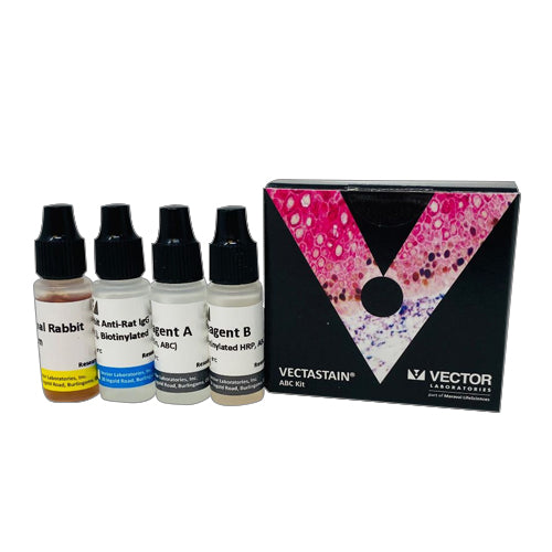5295. VECTASTAIN ABC-HRP KIT, PEROXIDASE (RAT IGG) - VECTOR – CTR ...