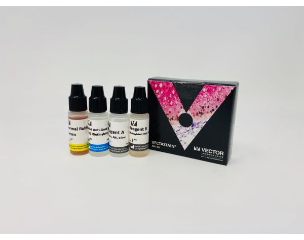 6471. VECTASTAIN ELITE ABC-HRP KIT PEROXIDASE (GOAT IGG) - VECTOR