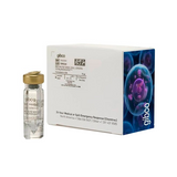 18002. GM-CSF RECOMBINANT MOUSE PROTEIN 10UG - GIBCO