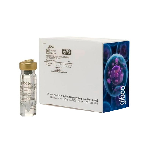 18002. GM-CSF RECOMBINANT MOUSE PROTEIN 10UG - GIBCO