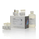53621. KIT DE ENSAYO BR DE RNA QUBIT QUANTIT 500 PRUEBAS - INVITROGEN
