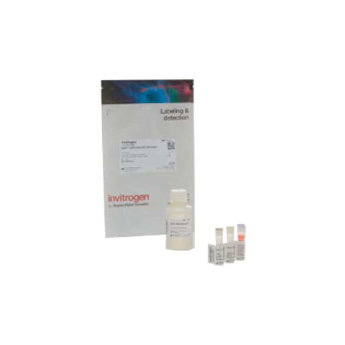 20945. KIT DE ENSAYO SSDNA QUBIT 100 REACCIONES - INVITROGEN