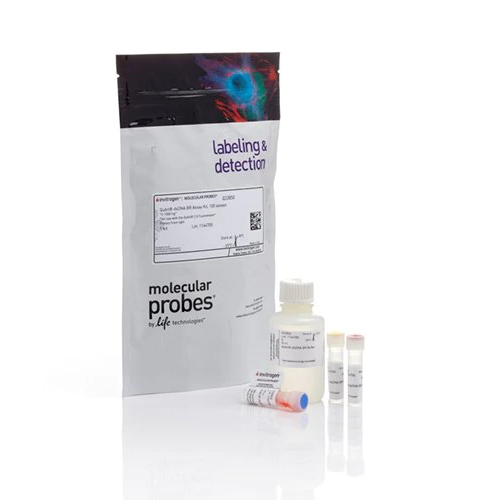 6380. KIT DE ENSAYO BR DE ADNBC QUBIT 100 ENSAYOS - INVITROGEN