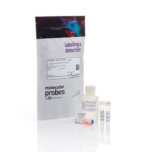 6380. KIT DE ENSAYO BR DE ADNBC QUBIT 100 ENSAYOS - INVITROGEN