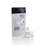 53482. KIT DE ENSAYO HS DE ADNBC QUBIT 100 ENSAYOS - INVITROGEN