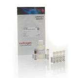 52844. KIT DE ENSAYO HS DE RNA QUBIT 100 ENSAYOS - INVITROGEN