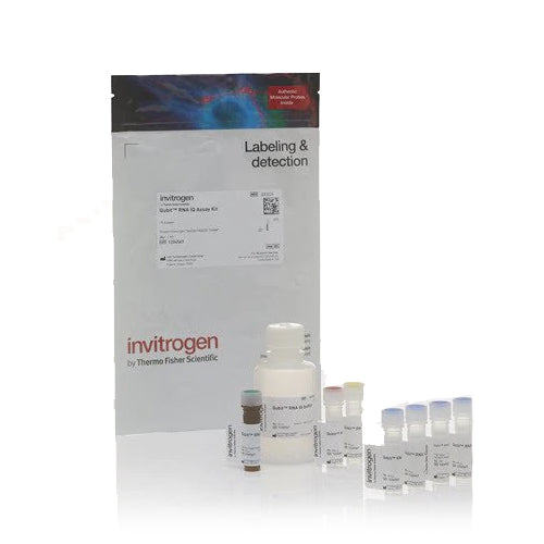4493. KIT DE ENSAYO QUBIT IQ DE ARN 75 ENSAYOS - INVITROGEN