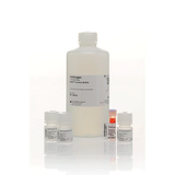 53483. KIT DE ENSAYO HS DE ADNBC 1X QUBIT 100 ENSAYOS - INVITROGEN