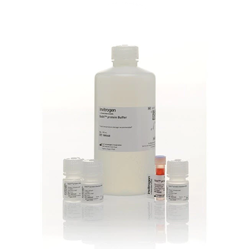 53483. KIT DE ENSAYO HS DE ADNBC 1X QUBIT 100 ENSAYOS - INVITROGEN