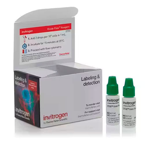 26793. REACTIVO SYTOX GREEN READY FLOW 120 ENSAYOS  INVITROGEN