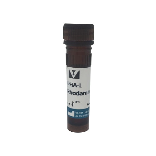 5297. PHASEOLUS VULGARIS LEUCOAGGLUTININ (PHA-L) RHODAMINE 2MG - VECTOR