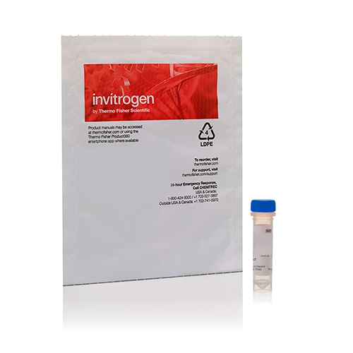 5643. STAPHYLOCOCCUS AUREUS (WOOD STRAIN WITHOUT PROTEIN A) BIOPARTICLES, ALEXA FLUOR 488 CONJUGATE 2MG - INVITROGEN