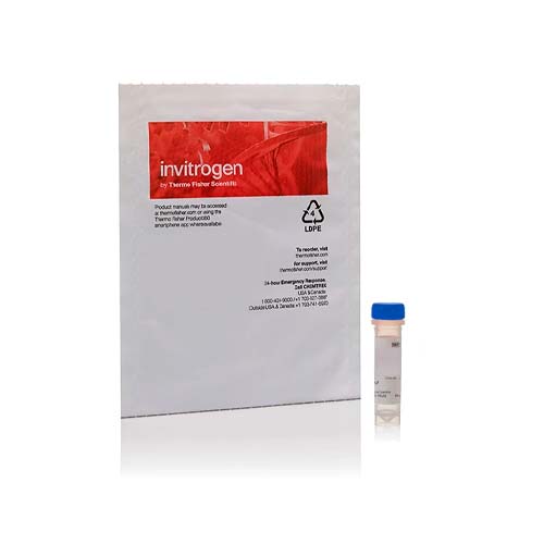 15767. STREPTAVIDIN ALEXA FLUOR 594 CONJUGATE 0.5ML - INVITROGEN