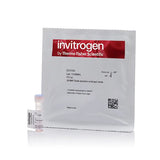 53358. SYBR SAFE DNA GEL STAIN 400UG - INVITROGEN