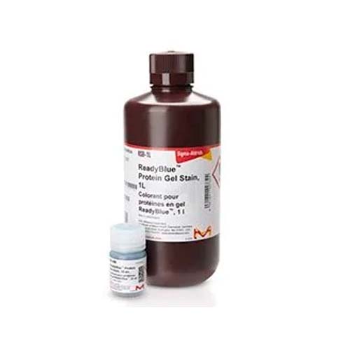 15946. SYPRO RUBY PROTEIN GEL STAIN 1LT - SUPELCO
