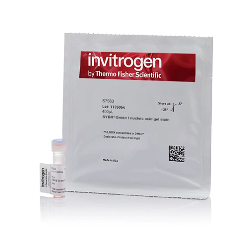 53474. SYBR GREEN I NUCLEIC ACID GEL STAIN 10 000X CONCENTRATE IN DMSO, 500UL - INVITROGEN