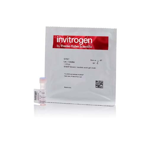 21862. SYBR GREEN I NUCLEIC ACID GEL STAIN 10,000X CONCENTRATE IN DMSO 1ML - INVITROGEN
