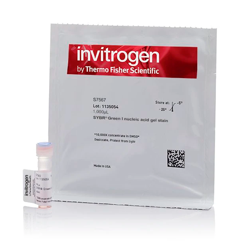 6386. TINCION DE GEL DE ACIDO NUCLEICO SYBR GREEN I, 10.000X CONCENTRADO EN DMSO 20 X 50UL - INVITROGEN