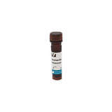11877. STREPTAVIDIN FLUORESCEIN 1MG - VECTOR