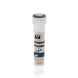 5305. STREPTAVIDIN, PEROXIDASE (CONCENTRATE, FOR IHC 1MG - VECTOR
