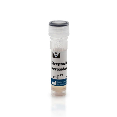 5305. STREPTAVIDIN, PEROXIDASE (CONCENTRATE, FOR IHC 1MG - VECTOR