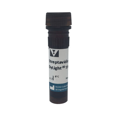 5309. STREPTAVIDIN, DYLIGHT 594 1MG - VECTOR