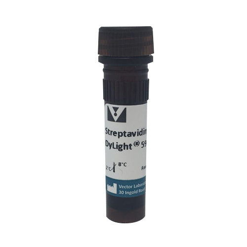 5309. STREPTAVIDIN, DYLIGHT 594 1MG - VECTOR