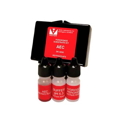 14362. AEC SUBSTRATE KIT PEROXIDASE (HRP) (3-AMINO-9-ETHYLCARBAZOLE) - VECTOR