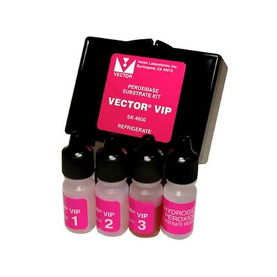 14363. VECTOR VIP SUBSTRATE KIT PEROXIDASE (HRP) - VECTOR