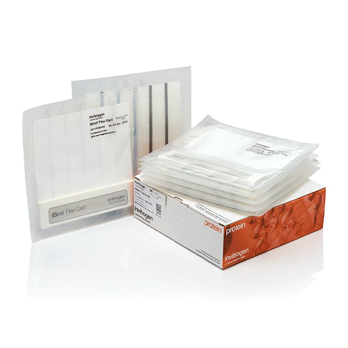 18040. IBIND TARJETAS FLEX C/10 - INVITROGEN