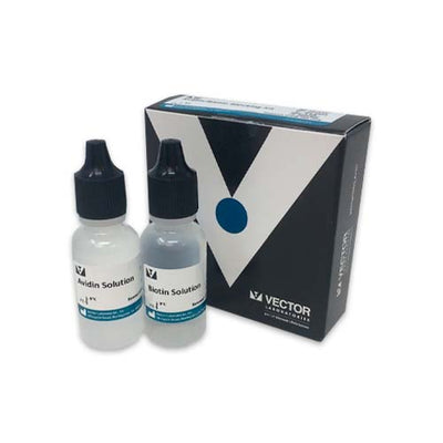 14365. AVIDIN/BIOTIN BLOCKING KIT - VECTOR