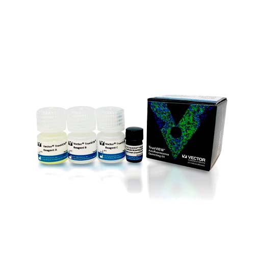 14364. TRUEVIEW AUTOFLUORESCENCE QUENCHING KIT WITH DAPI 15ML - VECTOR