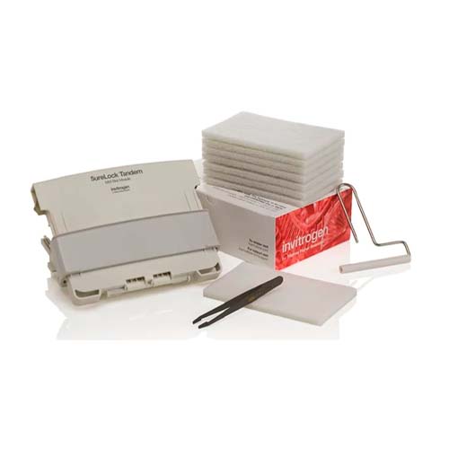 21858. MODULO DE BLOT SURELOCK TANDEM MIDI  - INVITROGEN