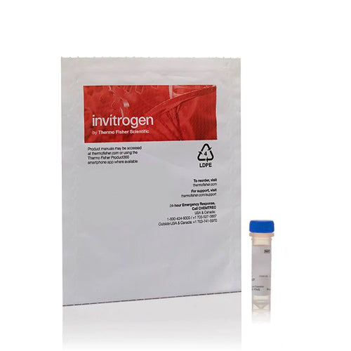 4538. TO-PRO-3 YODURO (642/661) SOLUCION 1MM EN DMSO 1ML - INVITROGEN