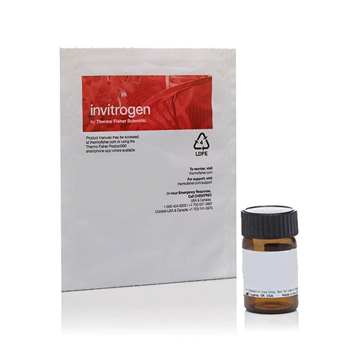 4539. TETRAMETILRODAMINA ESTER ETILICO PERCLORATO (TMRE) 25MG - INVITROGEN
