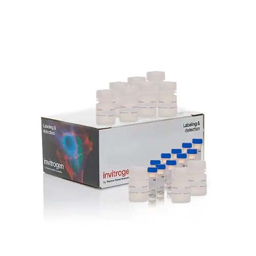 22733. ENSAYO DE VIABILIDAD CELULAR CYQUANT MTT 1000 ENSAYOS INVITROGEN