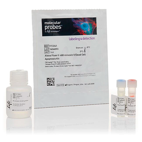 53485. DEAD CELL APOPTOSIS KIT WITH ANNEXIN V ALEXA FLUOR 488 & PROPIDIUM IODIDE (PI) 50 ENSAYOS - INVITROGEN