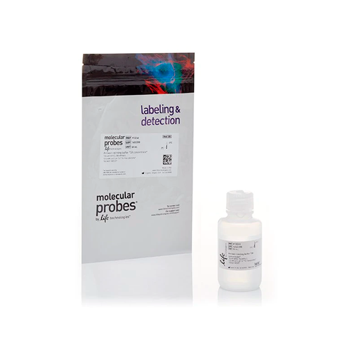 19793. BUFFER DE UNION DE ANEXINA (5X) P/CITOMETRIA DE FLUJO 50ML - INVITROGEN